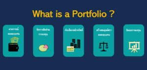 What is a Portfolio