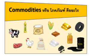 Commodities หรือ โภคภัณฑ์ คืออะไร