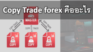 Copy Trade forex คืออะไร ทำกำไรได้จริงไหม