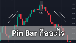 Pin Bar คืออะไร การวิเคราะห์ Price action pinbar